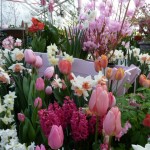 APRIL IMAGE